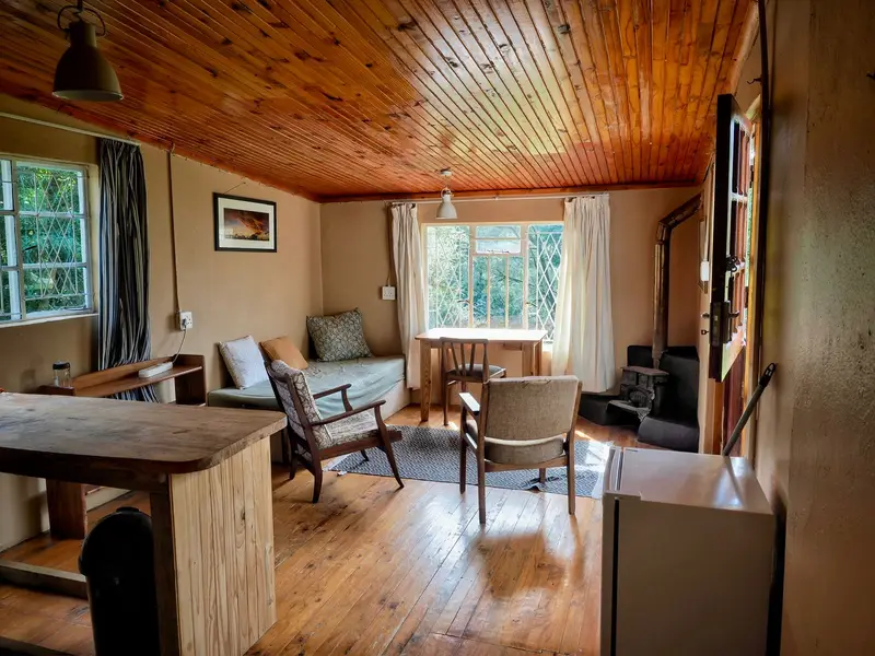 Foxes Earth interior